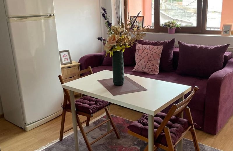 Rent of cozy, furnished 2-room apartments, 58 m², Constanța, Romania